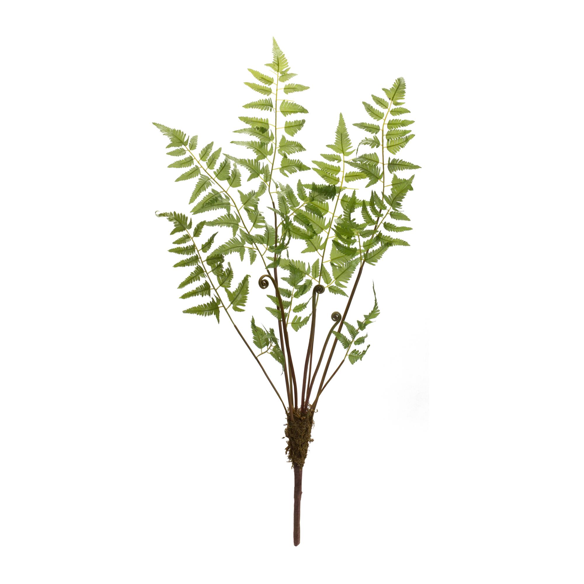 37" Varigated Fern Bundles with Sprout Accents, 6ct.
